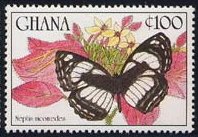 Butterfly (Neptis nicomedes)