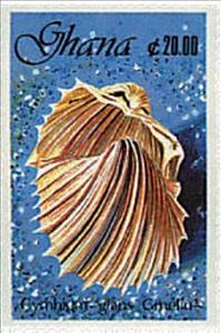 Stamp, Elephant's Snout Volute (Cymbium glans), Ghana,  , Shells