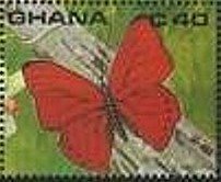 Blood Red Glider (Cymothoe sangaris)