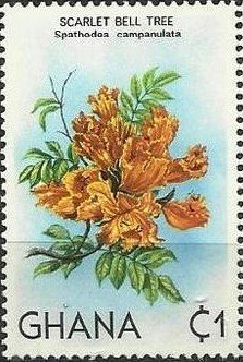 Stamp, Scarlet Bell tree, Ghana,  
