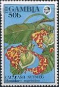 Stamp, Calabash Nutmeg, Gambia,  , Herbs and Spices