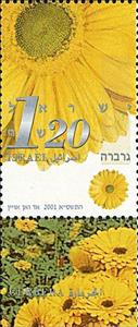 Stamp, Gerbera, Israel,  , Flowers, Plants (Flora)