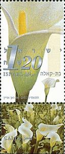 Stamp, Calla, Israel,  , Flowers, Plants (Flora)