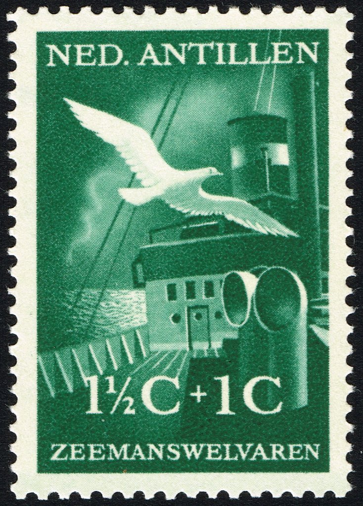 Ship and gull