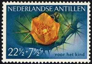 Stamp, Cactus., Netherlands Antilles,  , Flowers, Cacti