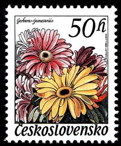 Stamp, Gerberas jamesoniis, Czechoslovakia,  , Flowers