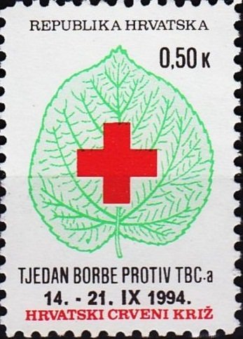 Anti-Tuberculosis Week (IV)