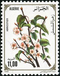 Stamp, Prunus armeniaca, Algeria,  , Plants (Flora)