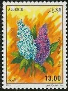 Lilac