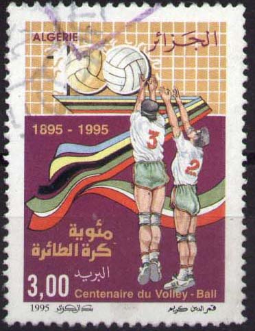 Volleyball