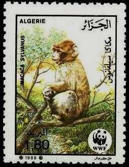 Stamp, Barbary Macaque (Macaca sylvanus), Algeria,  , WWF, Monkeys, Animals (Fauna)