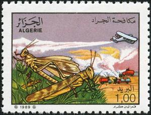 Stamp, Grasshopper (Orthoptera), Aircraft, Trucks, Algeria,  , Insects, Agriculture, Aviation, Aircrafts