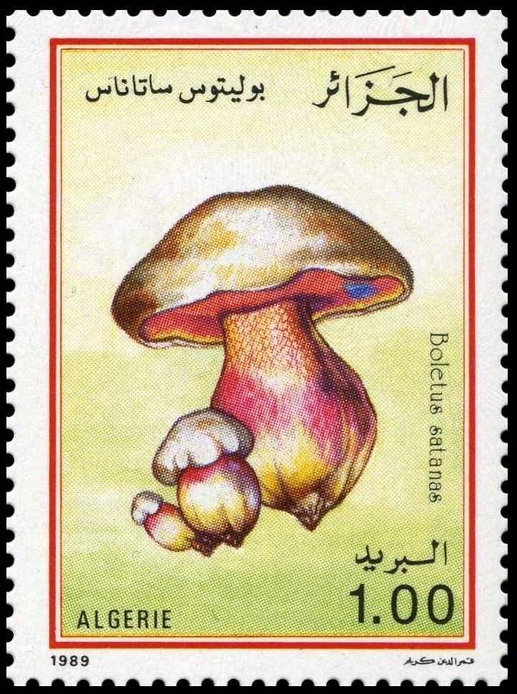 Boletus satanas