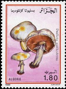 Stamp, Psalliotta xanthoderma, Algeria,  , Mushrooms