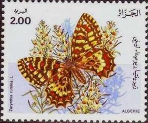 Stamp, Spanish Festoon (Zerynthia rumina), Algeria,  , Butterflies