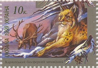 Red Deer (Cervus elaphus), Eurasian Lynx (Lynx lynx)