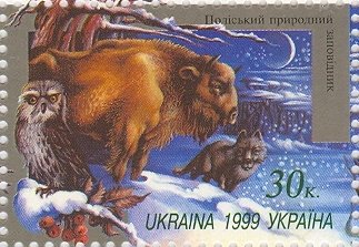 European Bison (Bison bonasus), Wolf (Canis lupus)