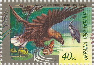 White-tailed Eagle (Haliaeetus albicilla), Gray Heron (Ardea