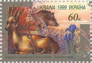 Roe Deer (Capreolus capreolus), Wild Boar (Sus scrofa)