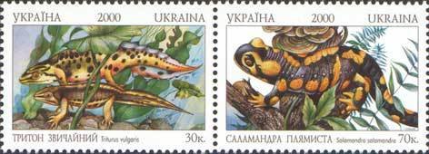 Se-tenant, Smooth Newt (Triturus vulgaris), Fire Salamander (Salamandra, Ukraine,  , Animals (Fauna)