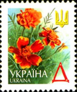 Marigolds