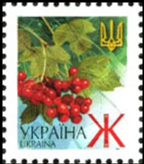 Guelder-rose