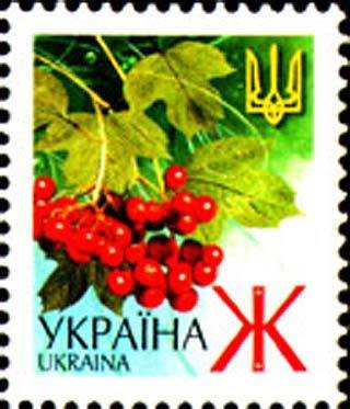 Guelder-rose