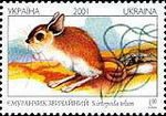 Stamp, Thick-tailed Three-toed Jerboa (Stylodipus telum), Ukraine,  , Mammals, Animals (Fauna)
