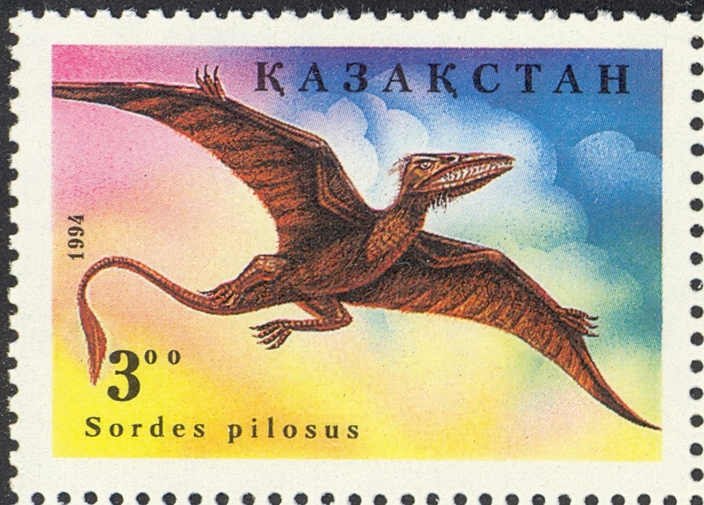 Sordes pilosus
