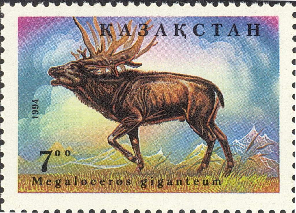 Irish Elk (Megaloceros giganteum)