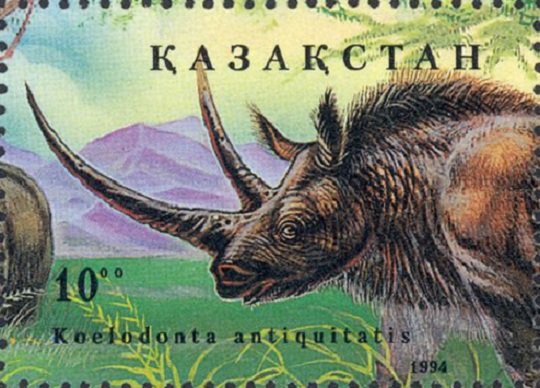 Woolly Rhinoceros (Coelodonta antiquitatis)