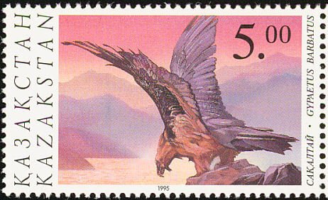 Bearded Vulture (Gypaetus barbatus)