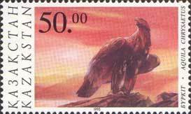 Golden Eagle (Aquila chrysaetos)