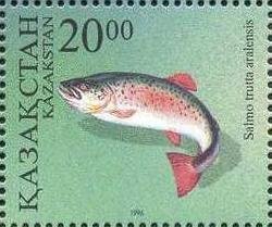 Aral trout (Salmo trutta aralensis)