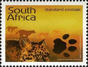 Stamp, Leopard (Panthera pardus), South Africa,  