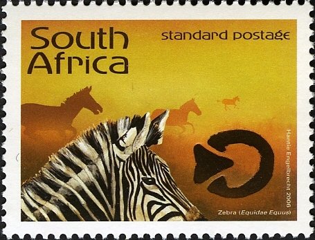 Burchell's Zebra (Equus burchelli)