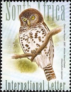 Stamp, African Barred Owlet (Glaucidium capense) , South Africa,  