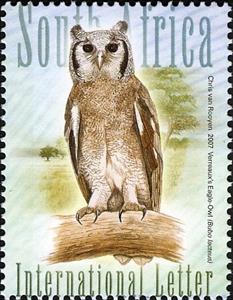 Stamp, Verreaux's Eagle-Owl (Bubo lacteus), South Africa,  