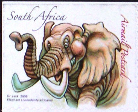 African Elephant (Loxodonta africana)