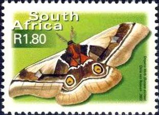 Stamp, Cabbage Tree Emperor Moth (Bunaea alcinoe), South Africa,  , Butterflies