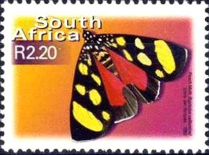 African Peach Moth (Egybolis vaillantina)