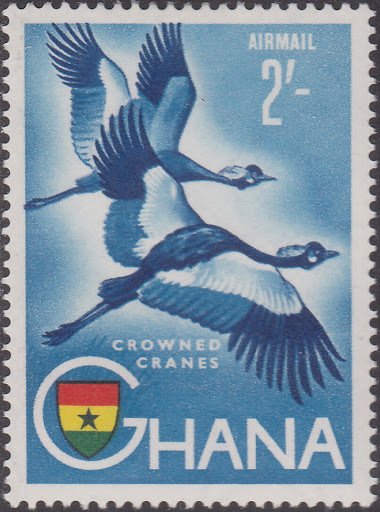 Black Crowned Crane (Balearica pavonina)