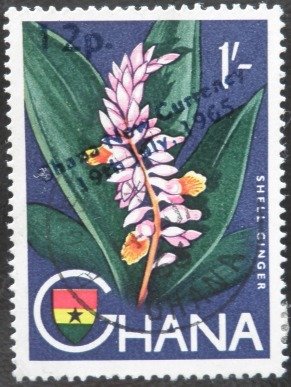 Ginger Flower