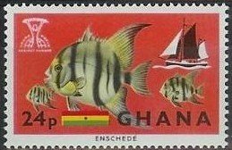 African Moony (Monodactylus sebae), Schooner, Flag