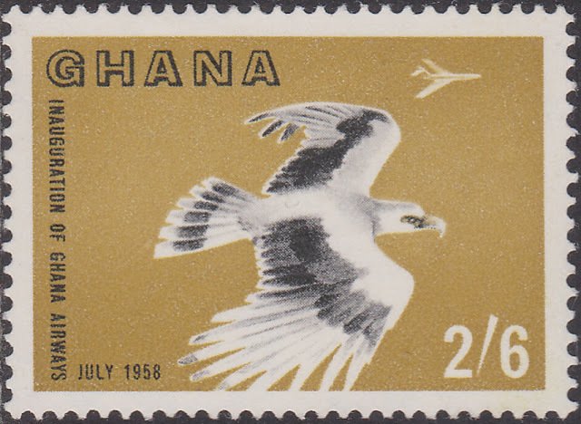 Palm-nut vulture and Vickers VC-10