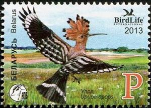 Stamp, Eurasian Hoopoe (Upupa epops), Belarus,  , Birds, Animals (Fauna)