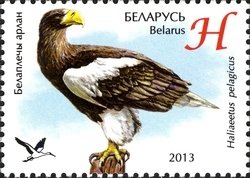 Stamp, Steller’s Sea-eagle (Haliaeetus pelagicus), Belarus,  , Birds, Birds of Prey, Zoos, Eagles, Animals (Fauna)