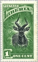Bongo (Tragelaphus eurycerus)