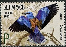 European Roller (Coracias garrulus)