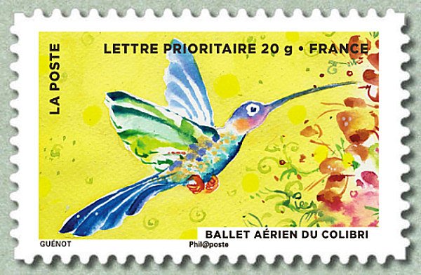 Colibri